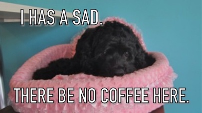 Lucy has a sad. There be no coffee here.