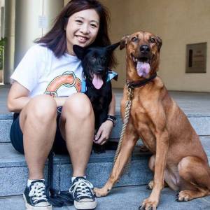Charissa with current foster dog Roody and her own Lady-Mae at the recent adoption drive last week at Biopolis. We hear Roody got many enquiries!
